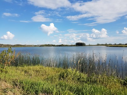 20170803_171329 copy